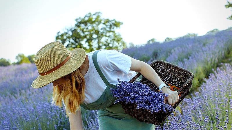 heart health - health article image 3