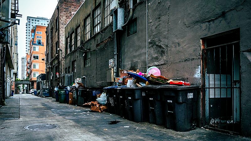 rat infestation - health article image 2