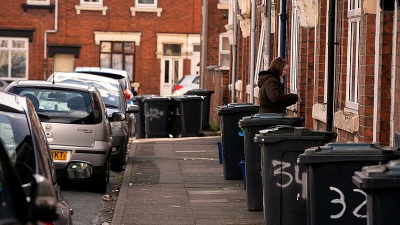 rat infestation - health article image 3