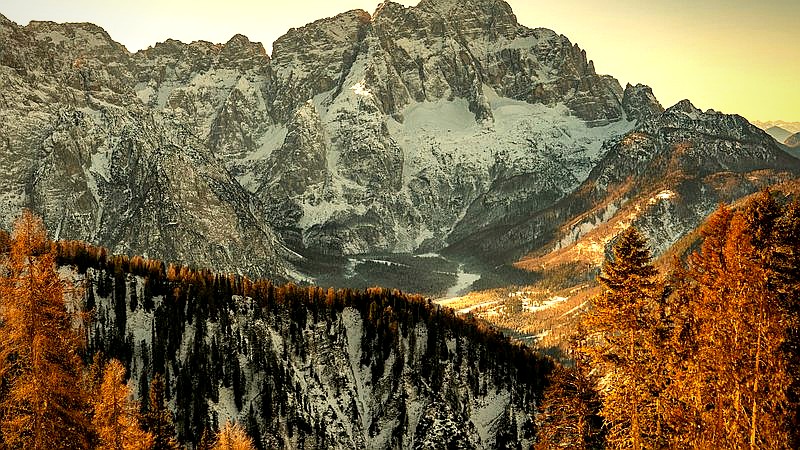 Giulia WWE dream - lifestyle article image 3