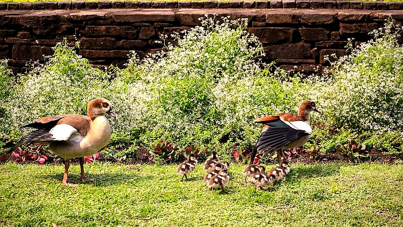 Project Hail Mary - lifestyle article image 3