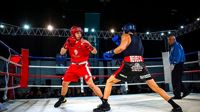 Dana White Boxing - sport article image 2