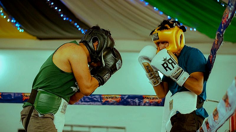 Dana White Boxing - sport article image 3