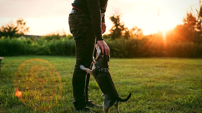 Eileen Gu Olympics - travel article image 2