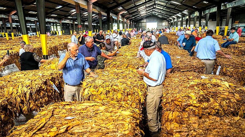 digital art - finance article image 2