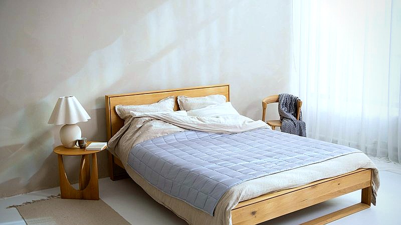 bed bug kryptonite - health article image 3