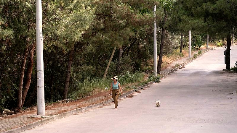 healthy aging - health article image 3