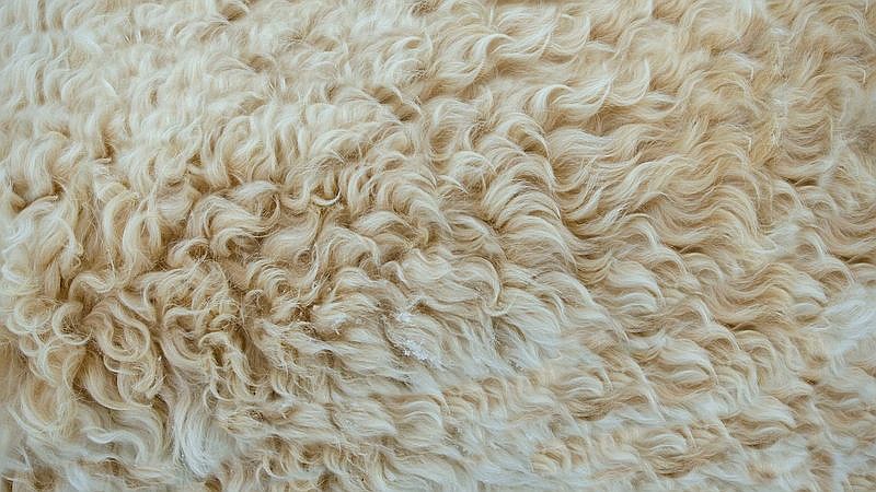 superconductivity - home improvement article image 3