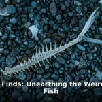 ancient fish - home improvement article image 1