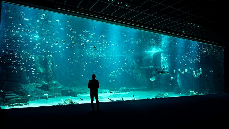 Yonaguni Monument - home improvement article image 2