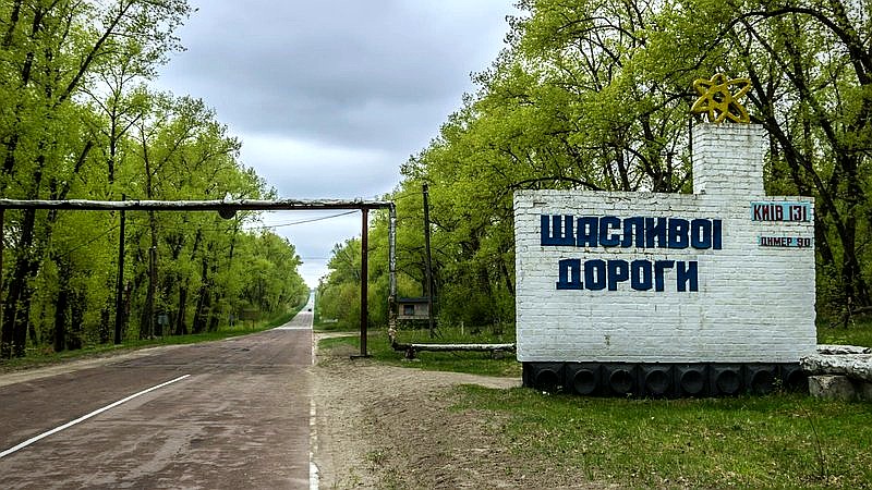 radiation-eating fungus - home improvement article image 3