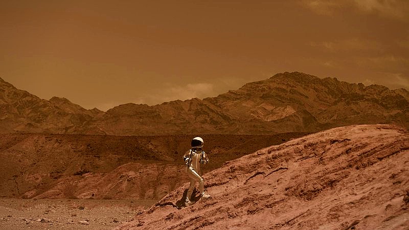 Mars rock surprise - home improvement article image 2