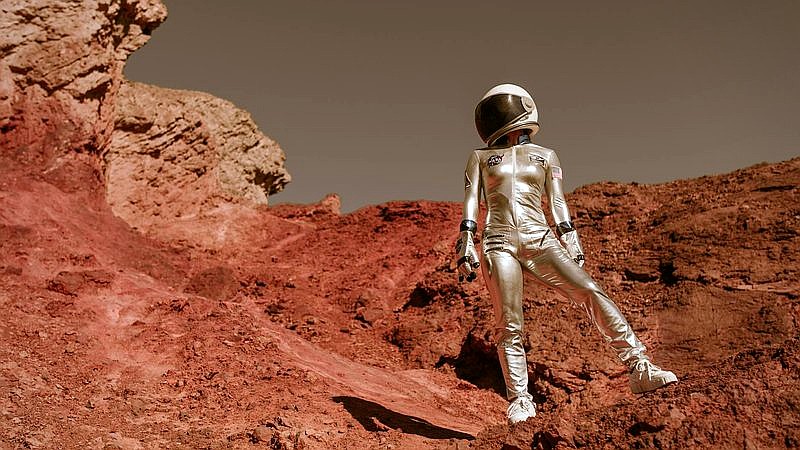Mars rock surprise - home improvement article image 3