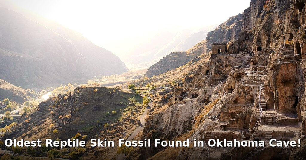 oldest reptile skin fossil - home improvement article image 1