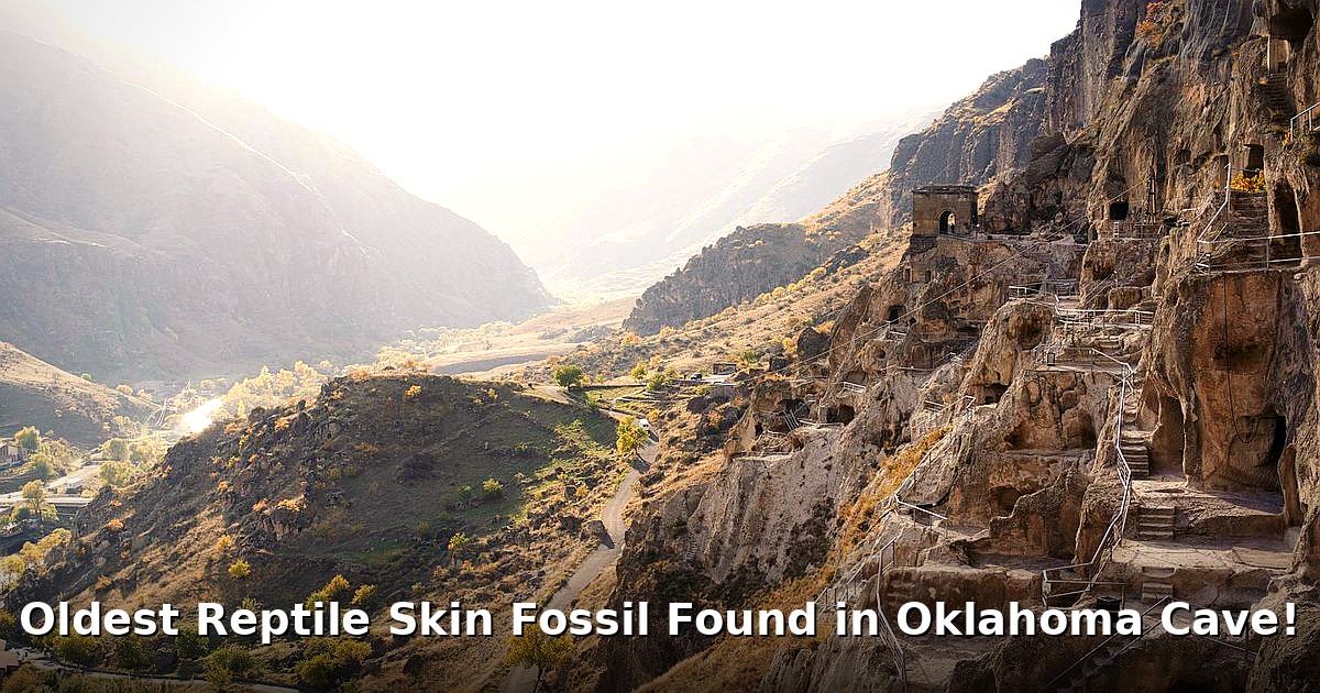 oldest reptile skin fossil - home improvement article image 1