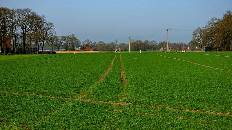 meteorite hunters - home improvement article image 2