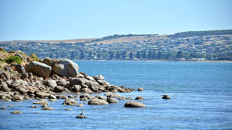 Ryan Gosling SNL - lifestyle article image 2