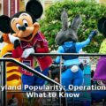 Bluey's Disneyland popularity - lifestyle article image 1