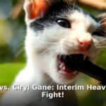 interim heavyweight title - sport article image 1