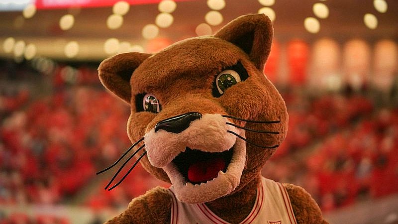 perfect March Madness bracket - sport article image 2