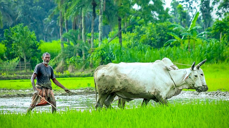 Capcom Spotlight - tech article image 3