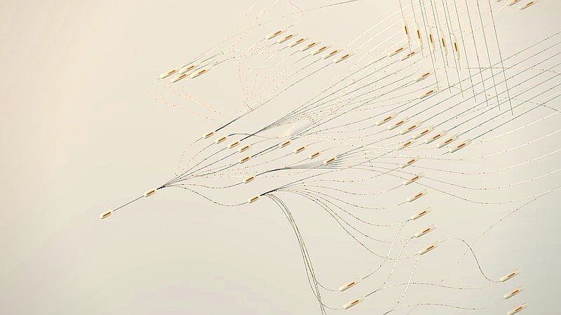 national security risk - travel article image 2