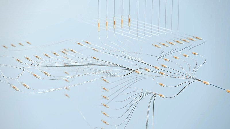 national security risk - travel article image 3