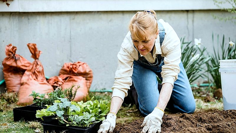 what older adults refuse to buy - finance article image 3