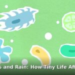 soil microbes and rain - home improvement article image 1