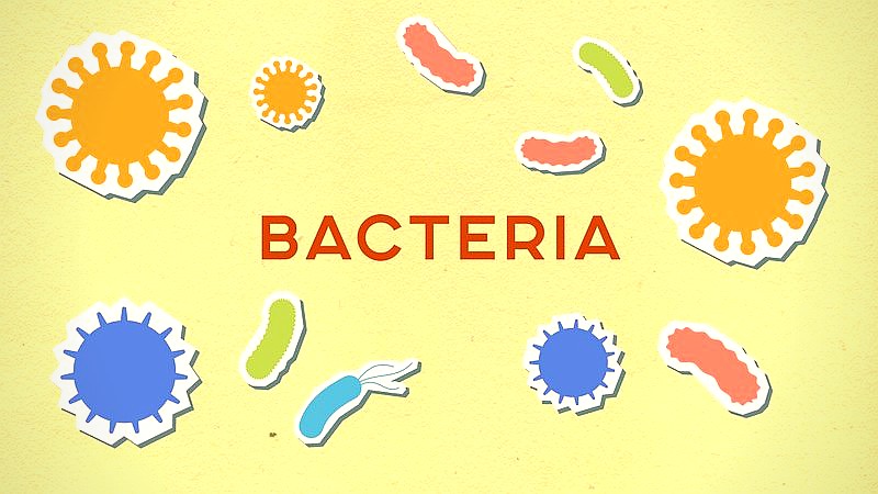 soil microbes and rain - home improvement article image 2