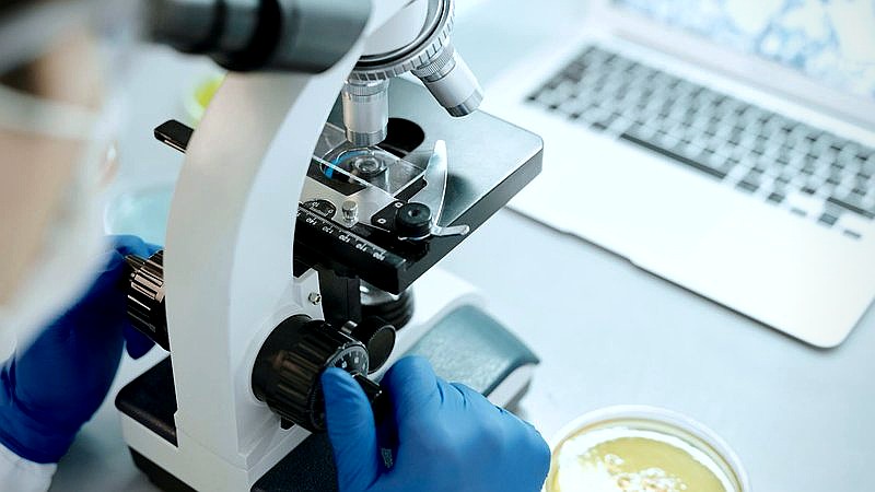 soil microbes and rain - home improvement article image 3