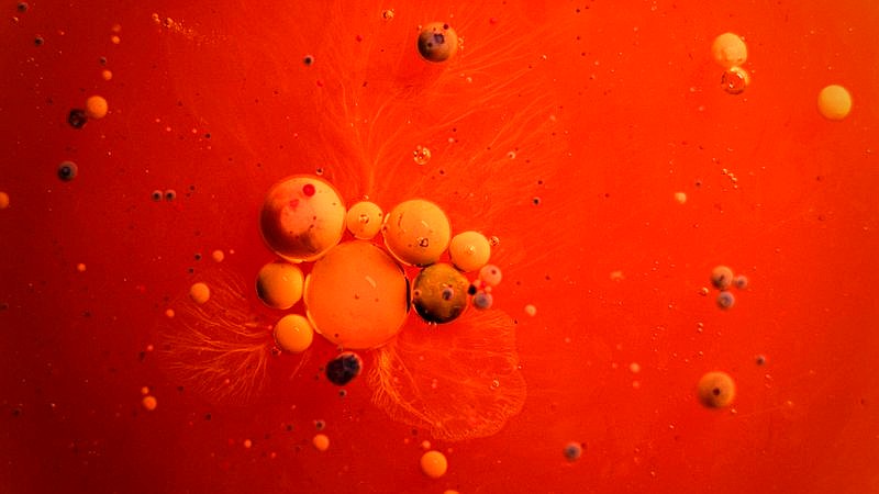 astrocytes plastic networks - home improvement article image 2