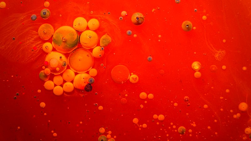 astrocytes plastic networks - home improvement article image 3