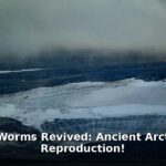 zombie worms - home improvement article image 1