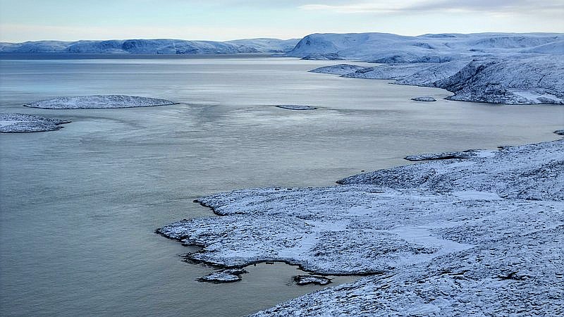 zombie worms - home improvement article image 2