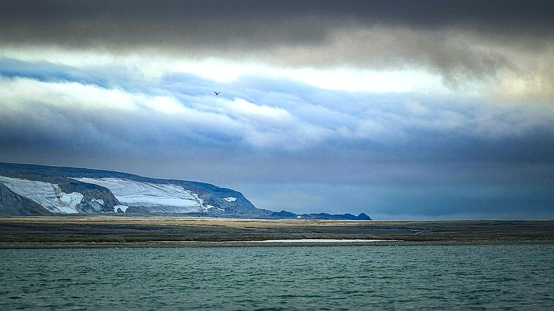 zombie worms - home improvement article image 3