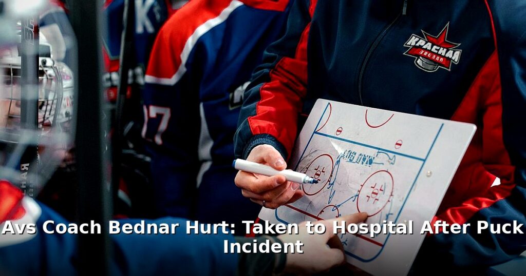 Avs coach Bednar - sport article image 1