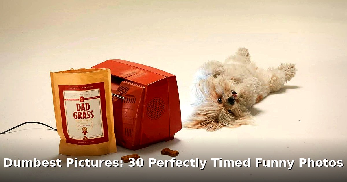 perfectly timed funny photos - tech article image 1