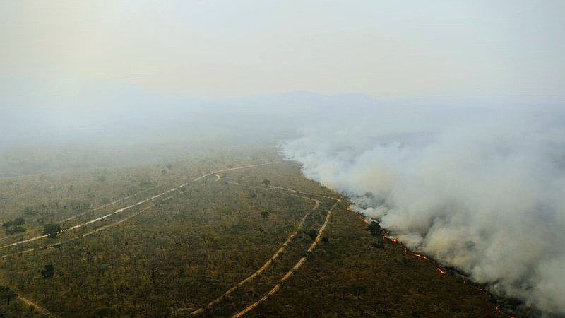 brush fires - travel article image 2