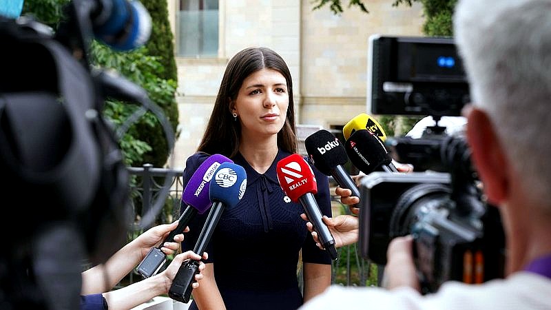 NFL reporter resigns - travel article image 2