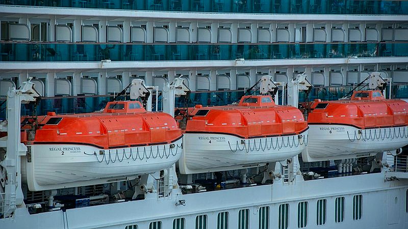 hantavirus cruise - health article image 2