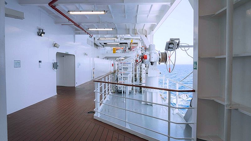 Hantavirus cruise - health article image 3