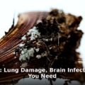 fungus storms - health article image 1