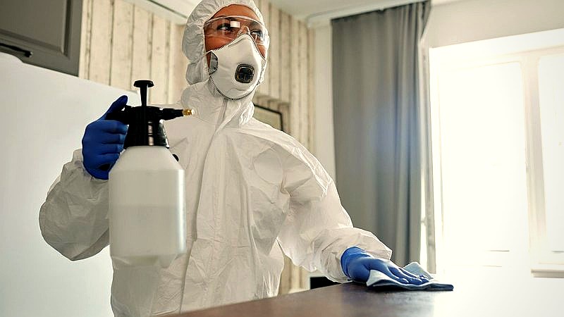 Hantavirus outbreak - health article image 2