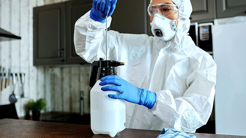 Hantavirus outbreak - health article image 3