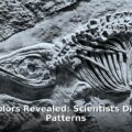 dinosaur colors - home improvement article image 1