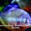 Amazon predators hunting - home improvement article image 1