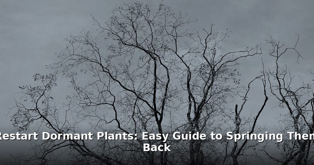restart dormant plants - home improvement article image 1