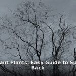 restart dormant plants - home improvement article image 1
