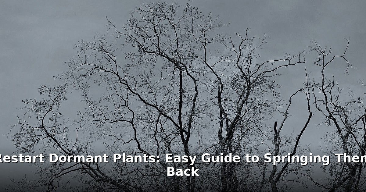 restart dormant plants - home improvement article image 1